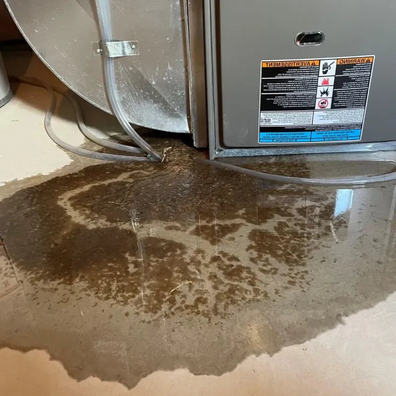 Pipe Burst and Leak Restoration in Lake Tansi, TN