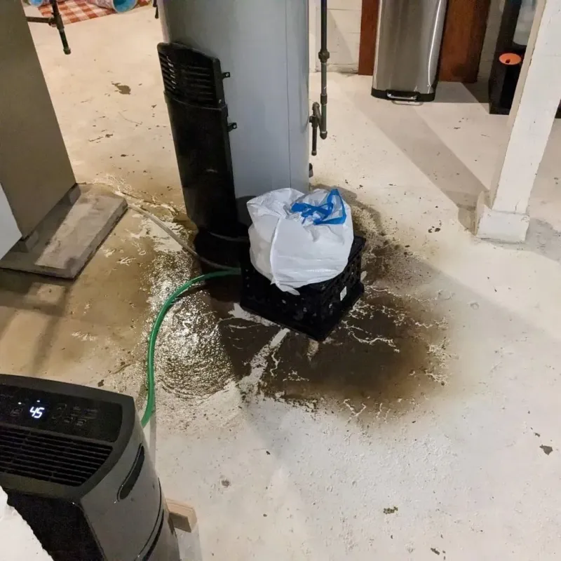 Sewage Backup Cleanup Service in Lake Tansi, TN